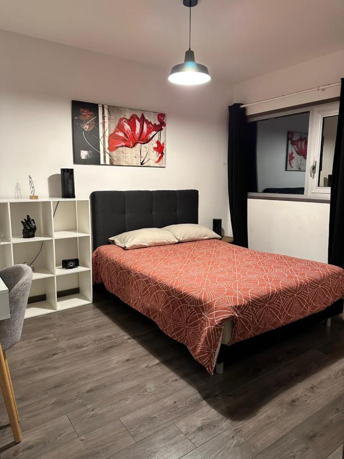 Magnifique Loft - Hyper Centre Apartman Annemasse Kültér fotó